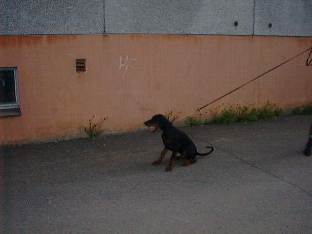 Ikolla on tyls��