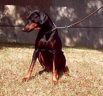 Gilda 10.8.2003