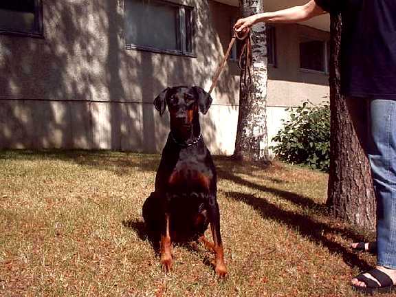 Gilda 10.8.2003