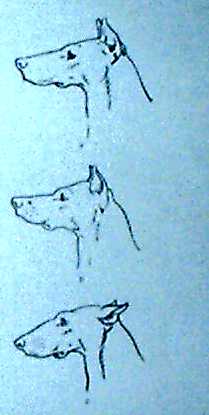 Alkuper�isess� tekstiss� kuva sivulla 175