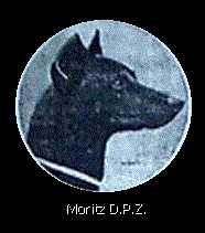 Alkuper�isess� tekstiss� kuva sivulla 178