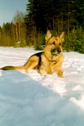 M� oon se Otto