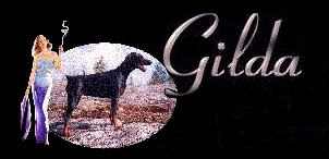 Dobermann Gilda