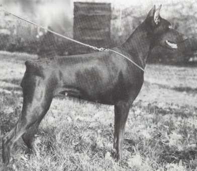 Gilda v. Buchenhain