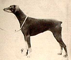 Gunthersforst Joyce