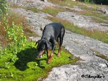 Gilda 10.8.2003