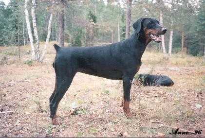 Gilda ja taustalla lymyilev� Efkeria's Babiana