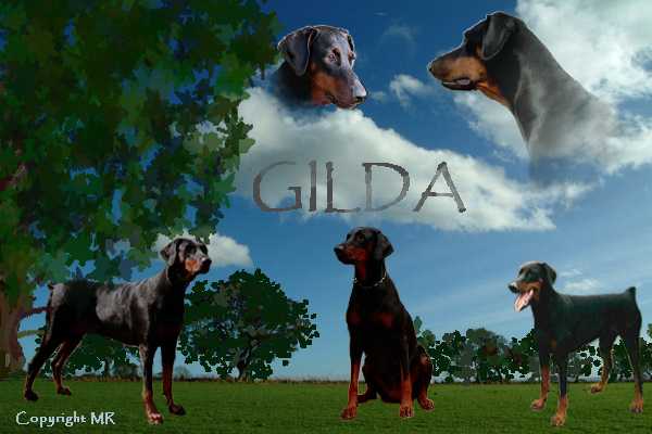 In Memoram video for Gilda, Qujo and Otto, created by Qujos aunt Marjo. (See under link: MUISTOISSA.)