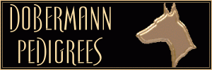 © Dobermann Pedigrees