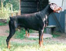 Claudius