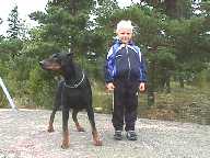 Marko & Qujo