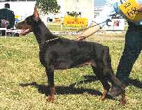 Wylla Winona v. Adlercrest