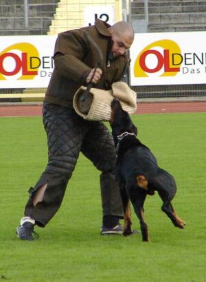 Phil v. Warringhof