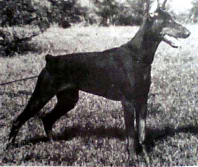 Wendy v. Franckenhorst